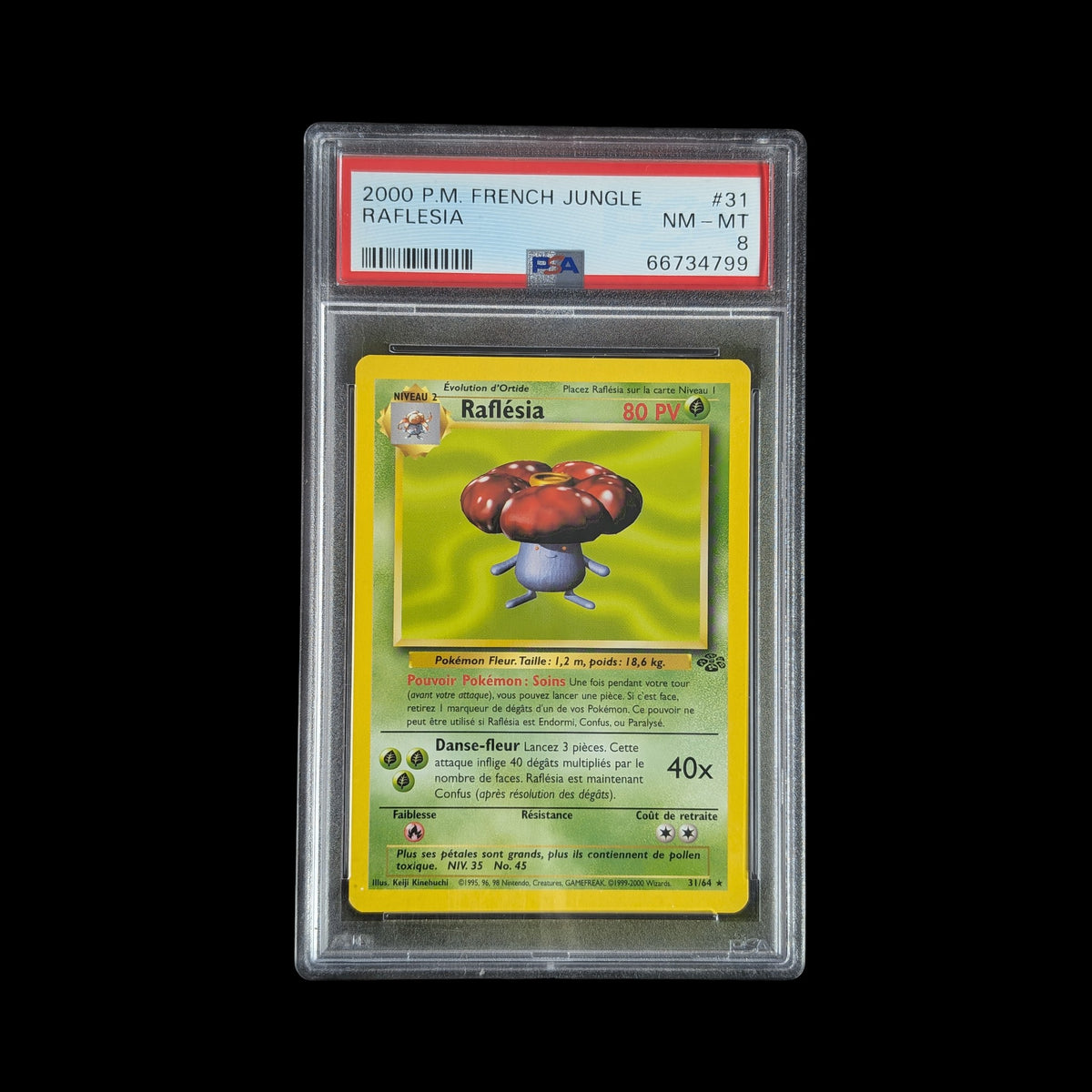 Raflésia - PSA 8 - 31/64 - Jungle - Wizards – recto